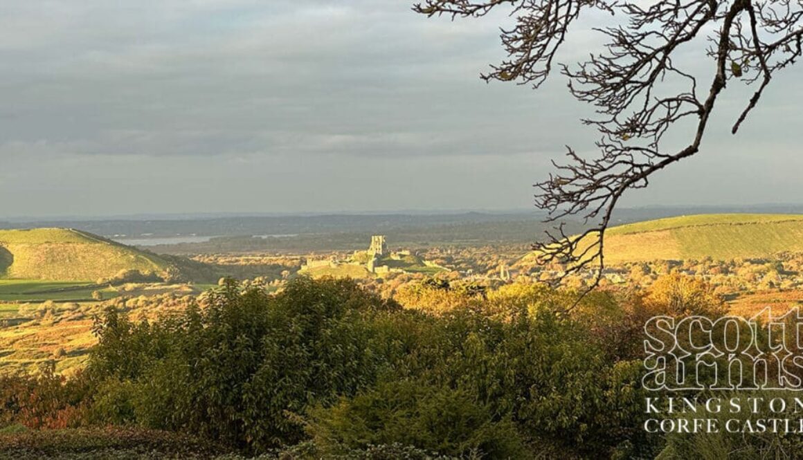 The village of Kingston - including your favourite pub, the Scott Arms - has been featured in an article in the Bournemouth Daily Echo as a Dorset village "worth visiting".