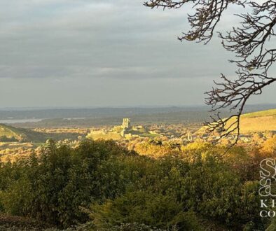 The village of Kingston - including your favourite pub, the Scott Arms - has been featured in an article in the Bournemouth Daily Echo as a Dorset village "worth visiting".