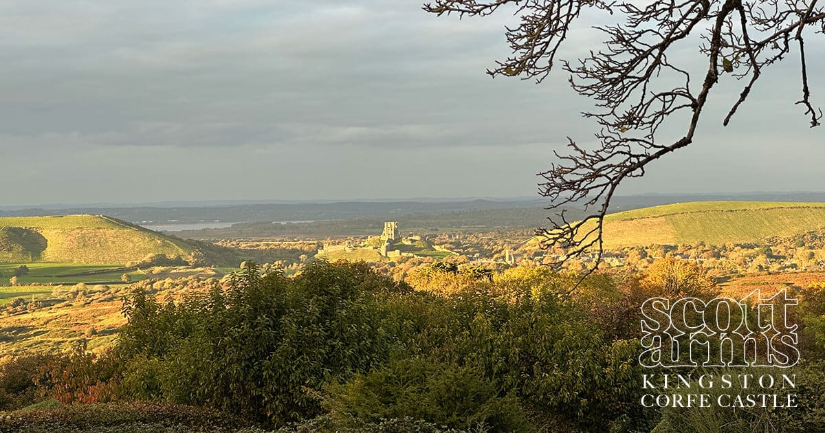 The village of Kingston - including your favourite pub, the Scott Arms - has been featured in an article in the Bournemouth Daily Echo as a Dorset village "worth visiting".