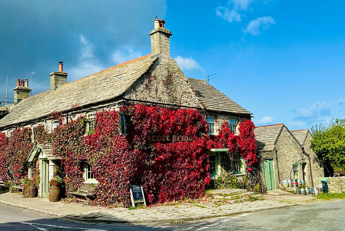 The Scott Arms in Kingston resplendent in its autumn Virginia Creeper